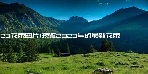 2023花束图片(预览2023年的最新花束 欣赏这些精美的花艺设计)